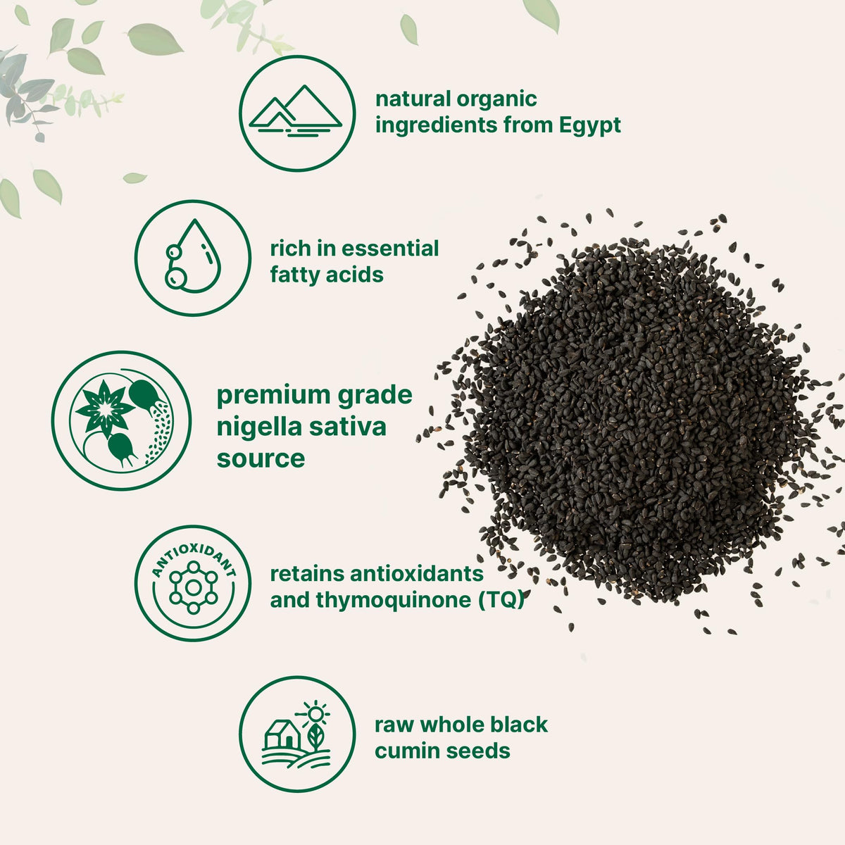 Organic Black Cumin Seeds (Nigella Sativa) 2lb Bulk | Micro Ingredients