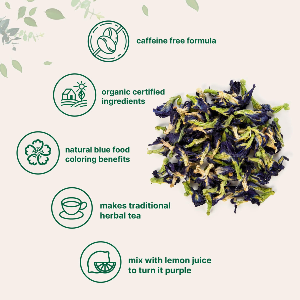 Micro Ingredients Organic Butterfly Pea Flower Tea, 8 oz – 680+ Cups, Caffeine-Free, Non-GMO