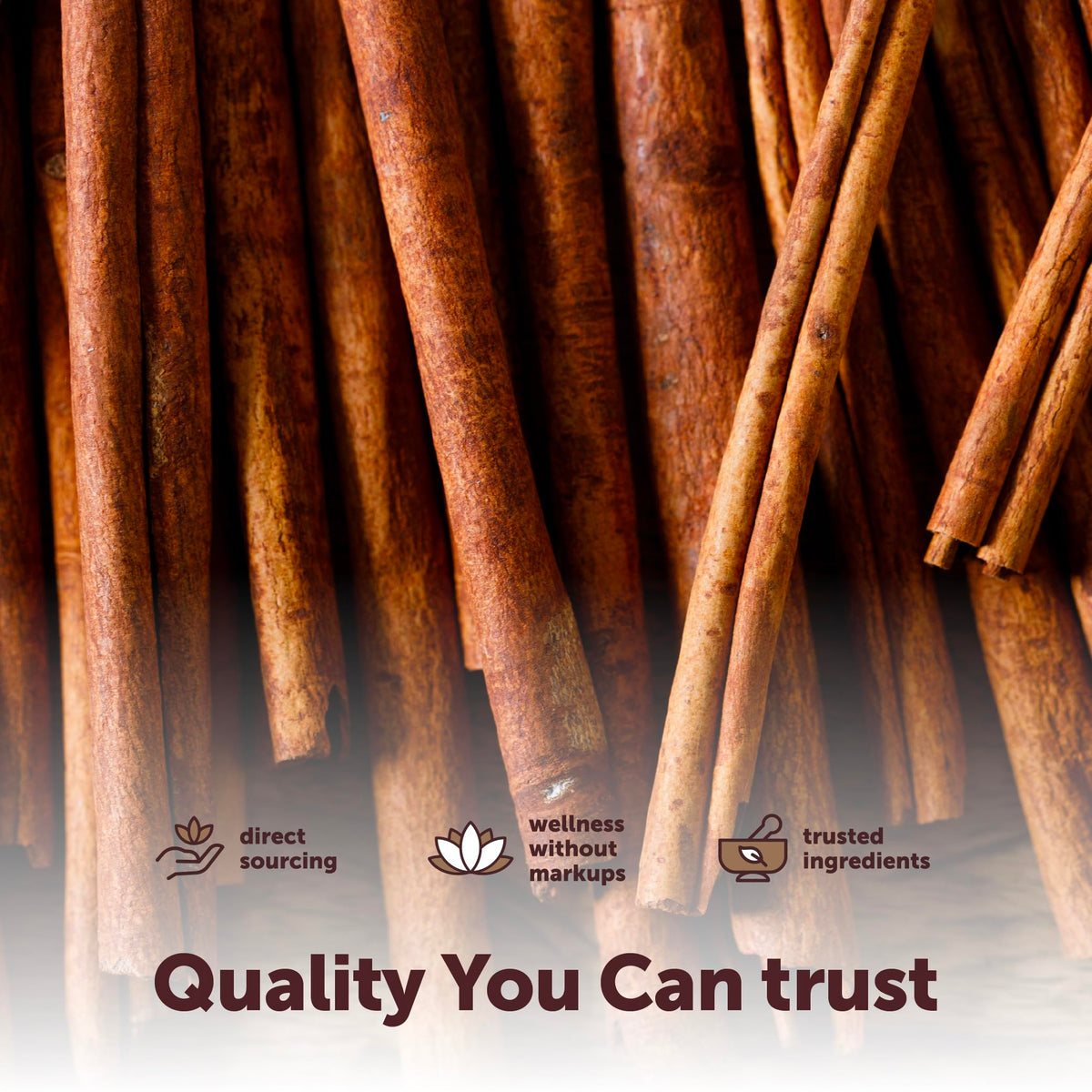Micro Ingredients Organic Cinnamon Sticks Bulk 2lb – Whole, Non-GMO & Vegan