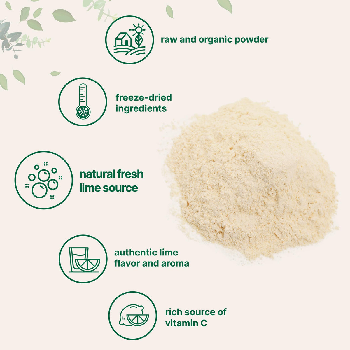 Micro Ingredients Organic Freeze-Dried Lime Powder 1.5lb – Sugar-Free Drink Mix, Vitamin C Rich