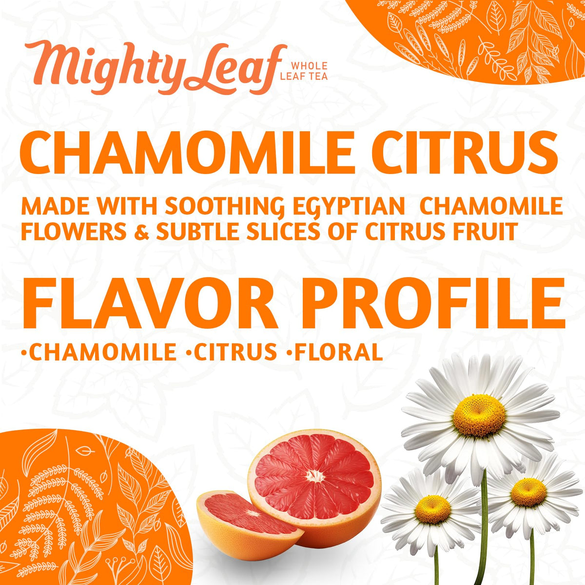 Mighty Leaf Chamomile Citrus Herbal Tea – Caffeine-Free, 100 Pouches for Relaxation