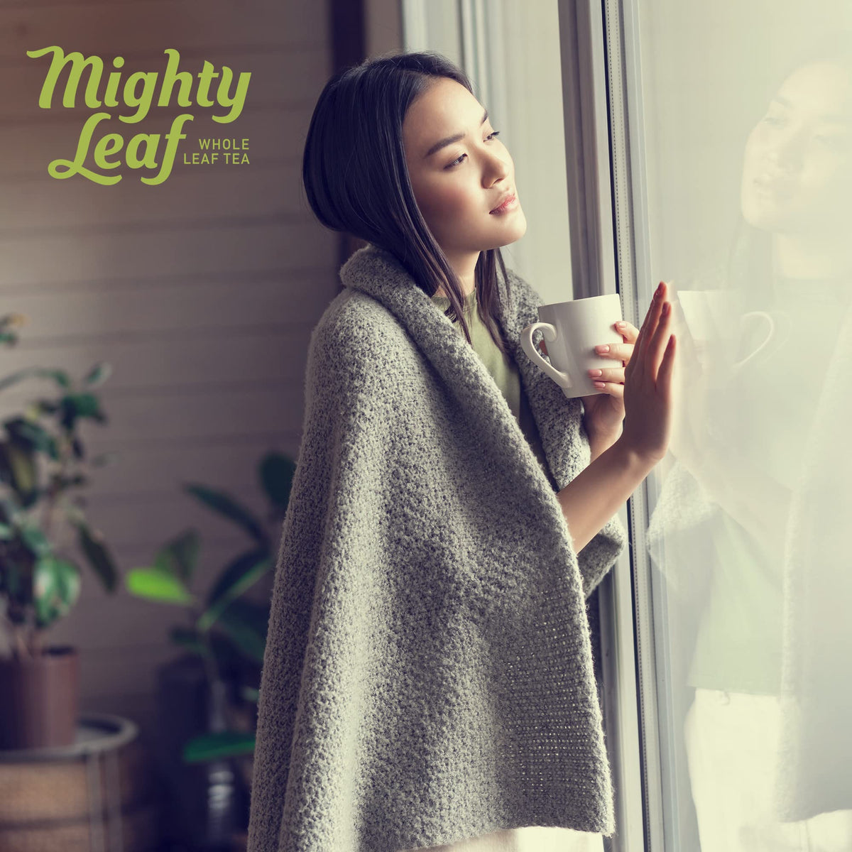 Mighty Leaf Marrakesh Mint Tea – 100 Silken Pouches Foil-Wrapped