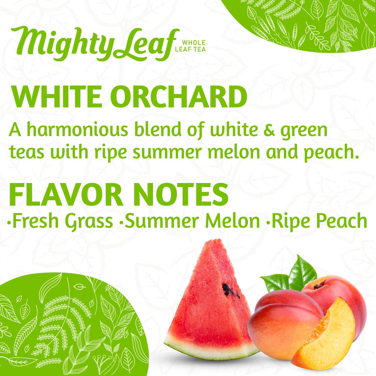 Mighty Leaf White Orchard White Tea – 100 Silken Tea Pouches