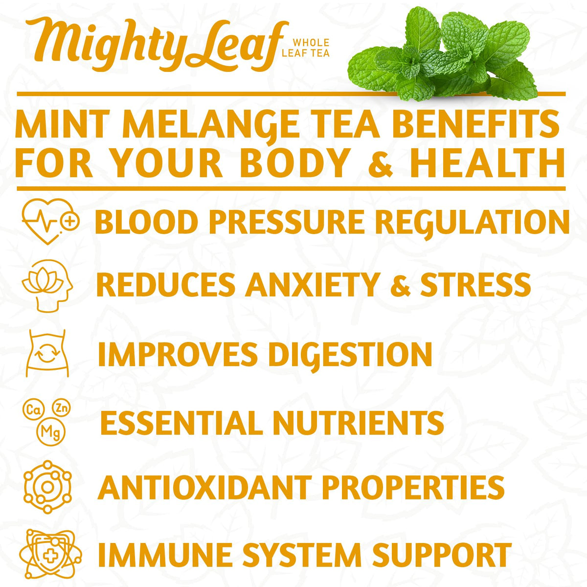 Mighty Leaf Organic Mint Melange Tea - 15-Count Pouches (Pack of 3)