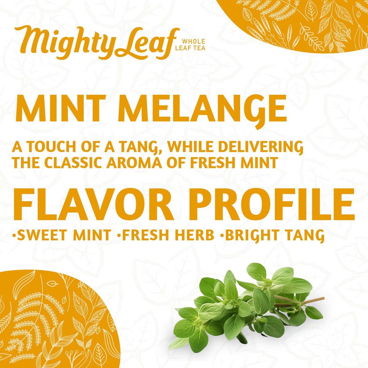 Mighty Leaf Organic Mint Melange Tea - 15-Count Pouches (Pack of 3)