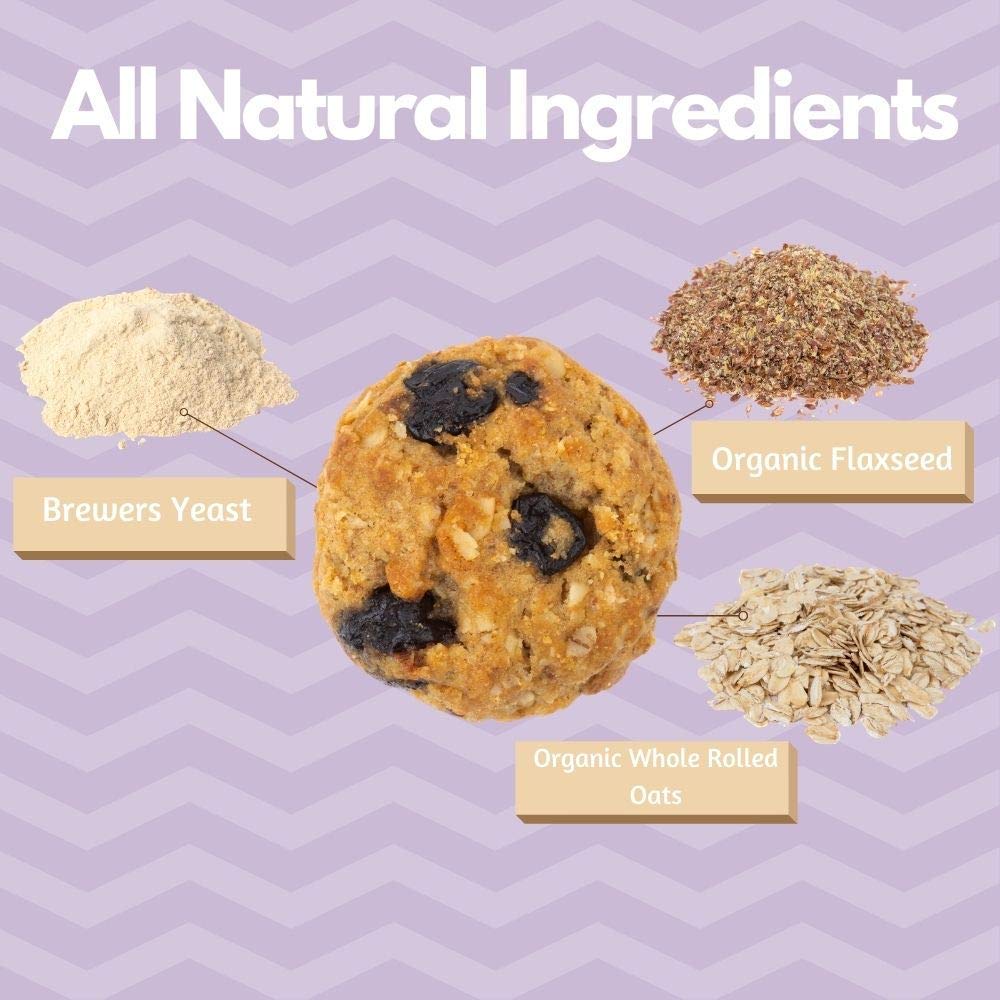 MilkBliss Wild Blueberry Soft Baked Oatmeal Cookies for Breastfeeding Support – 12 oz