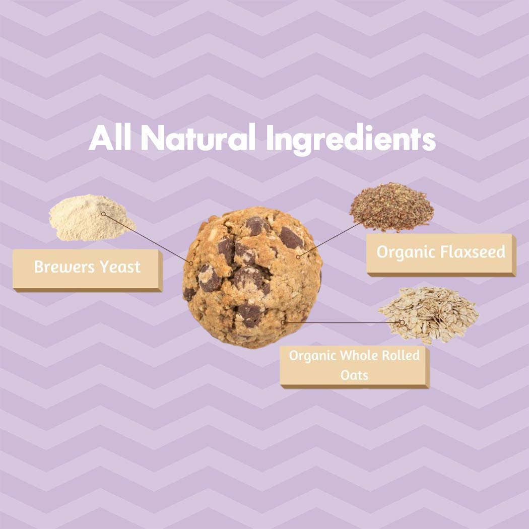 MilkBliss Dark Chocolate Chip Oatmeal Lactation Cookies – 12 oz