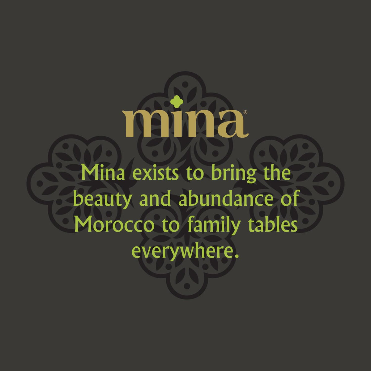 Mina Moroccan Olive Oil Extra Virgin – Single Origin, Polyphenol Rich, 1 L, Cold-Extracted