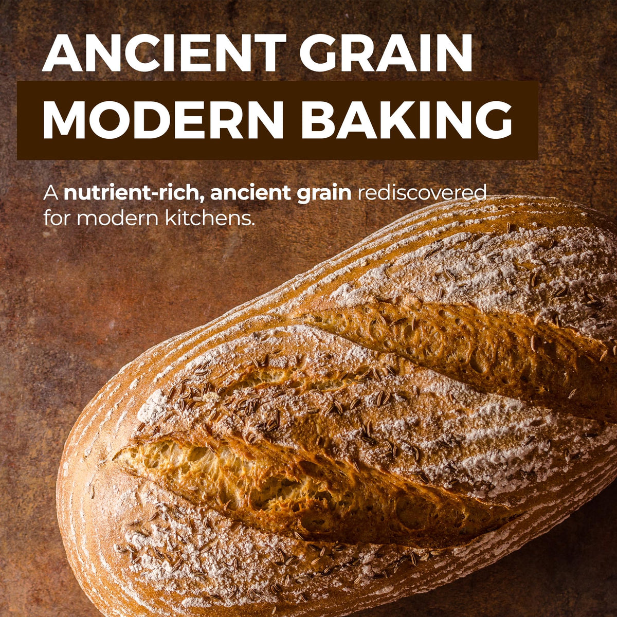 MODERN MOUNTAIN Kamut Flour (3 lb) – Organic Whole Wheat, Bulk Pouch, Kosher