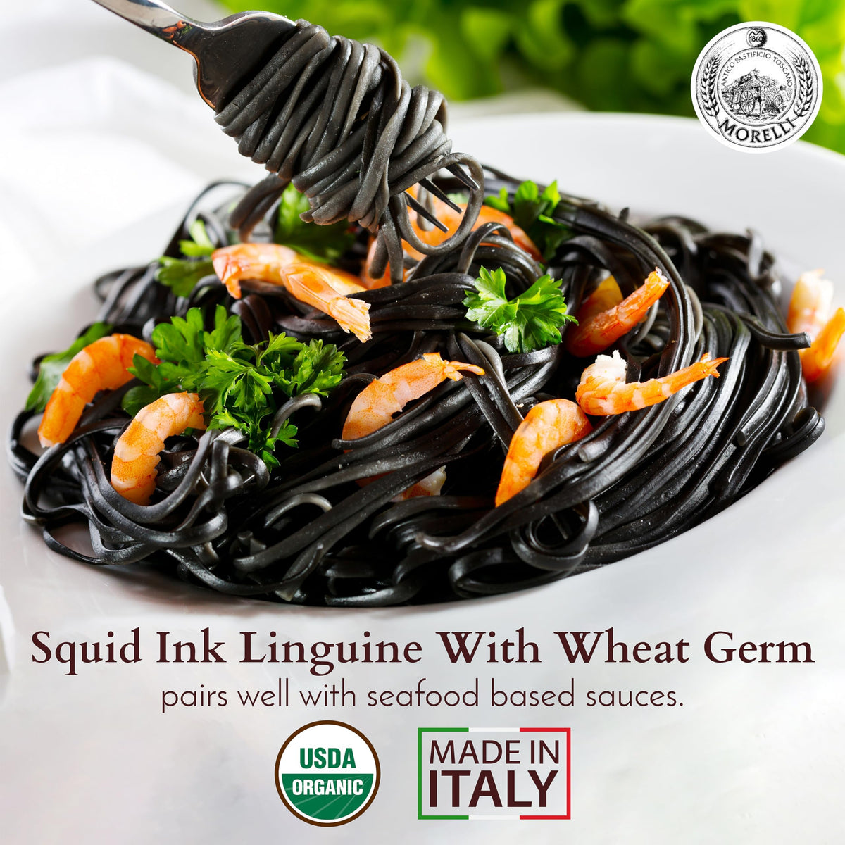 Morelli Squid Ink Pasta Linguine – Organic Black Pasta Noodles, 8.8 oz / 250 g (2-Pack)