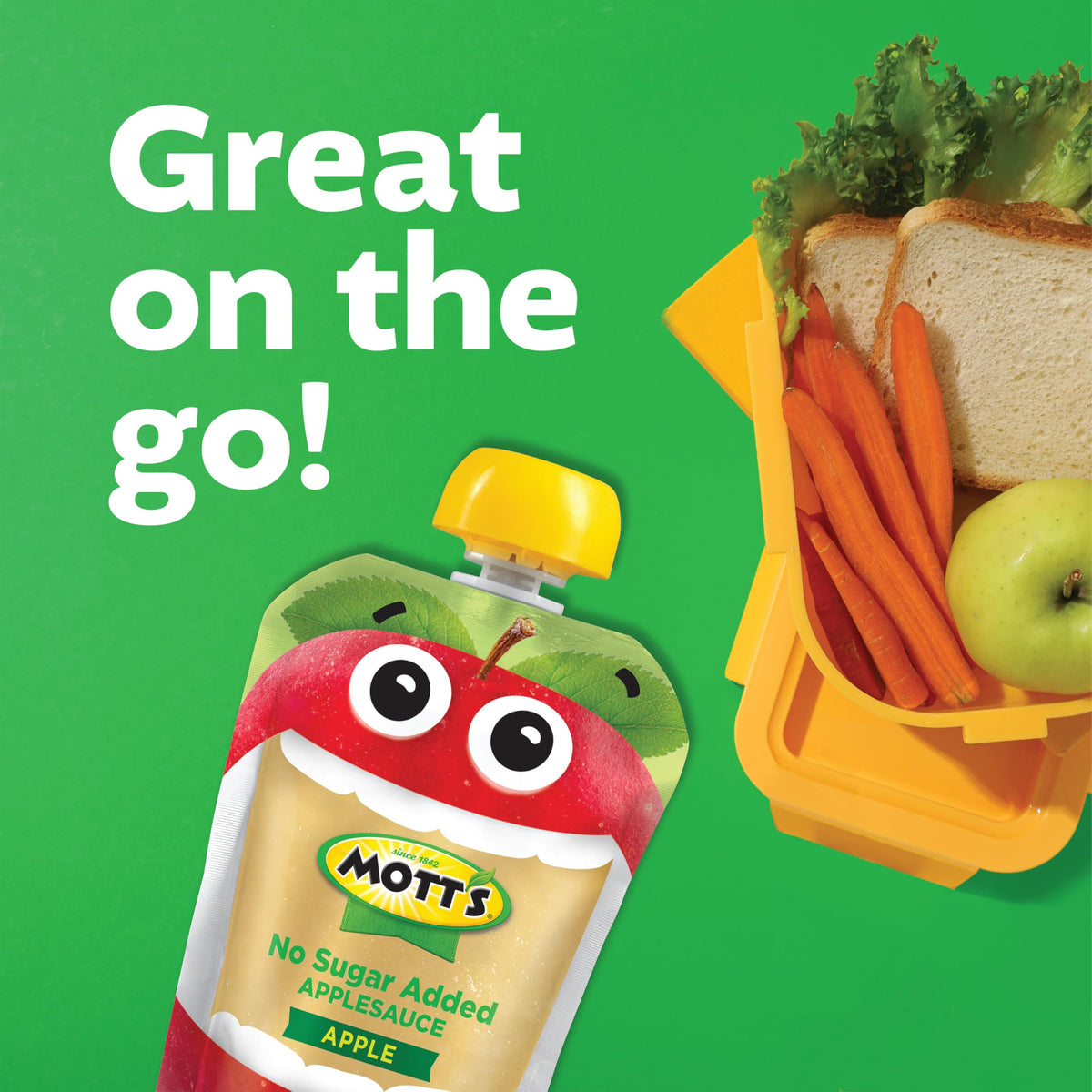 Mott’s No Sugar Added Applesauce Variety Pack – 48 Count (4 Packs of 12)