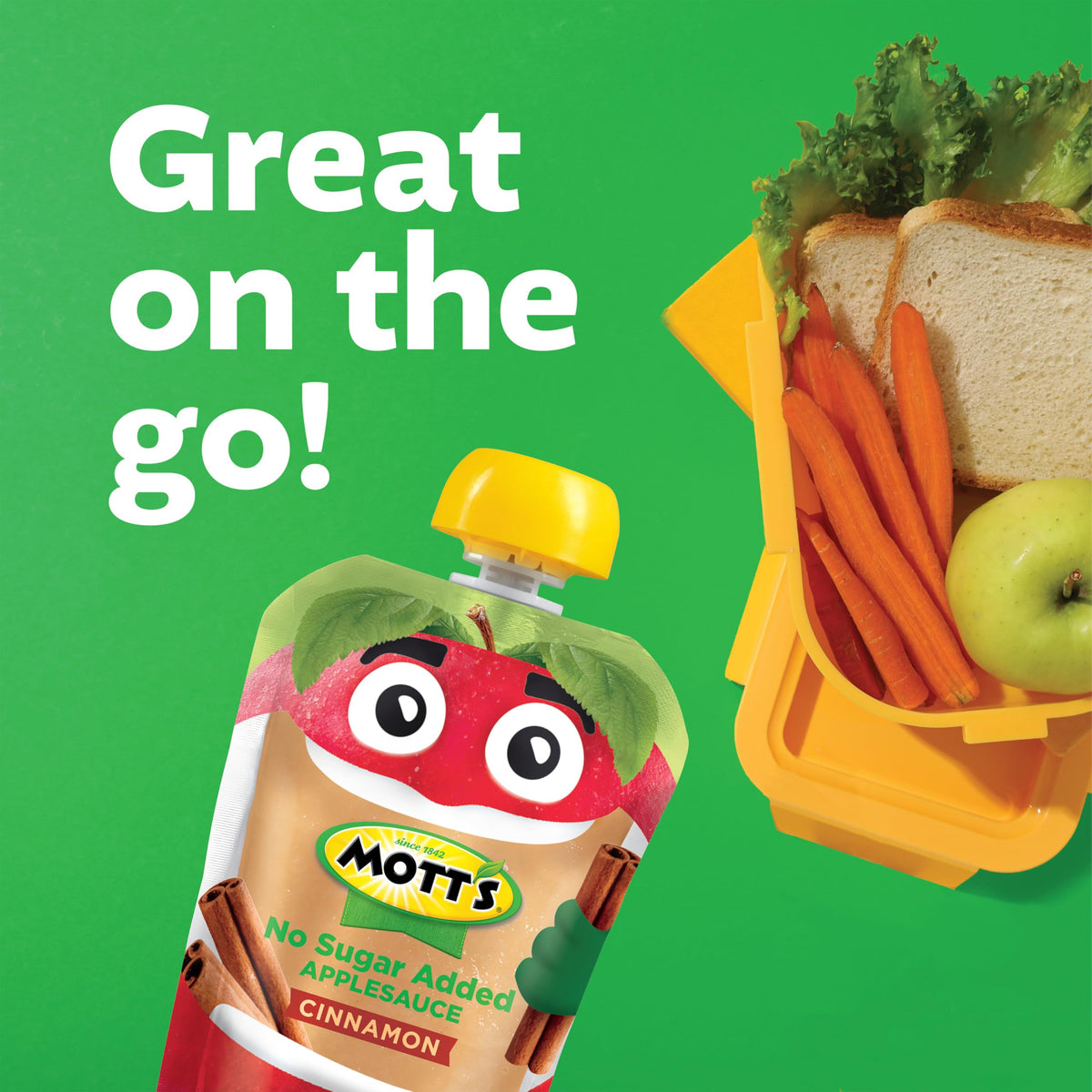Mott's No Sugar Added Cinnamon Applesauce Pouches – 3.2 oz, 48 Count, No Artificial Flavors