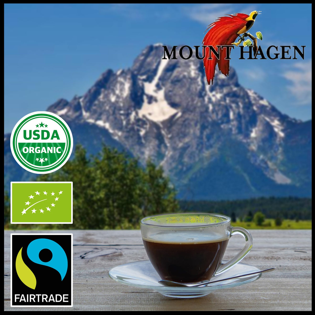 Mount Hagen Instant Espresso Coffee 3-Pack – Organic Fair Trade Freeze-Dried Arabica
