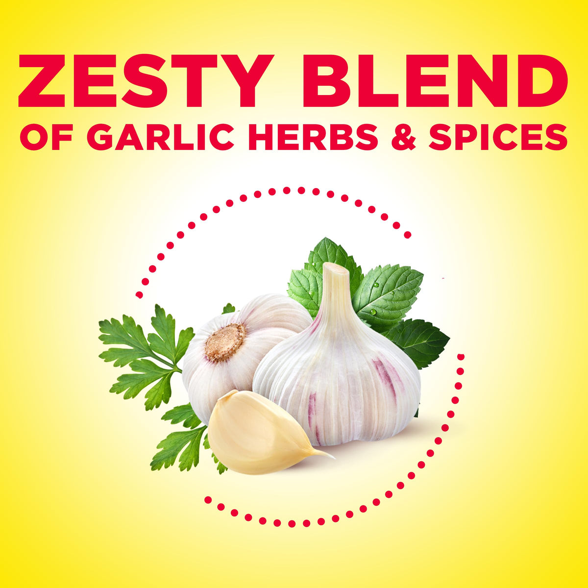 Dash Garlic & Herb Salt-Free Seasoning Blend – 21 oz | Mrs. Dash