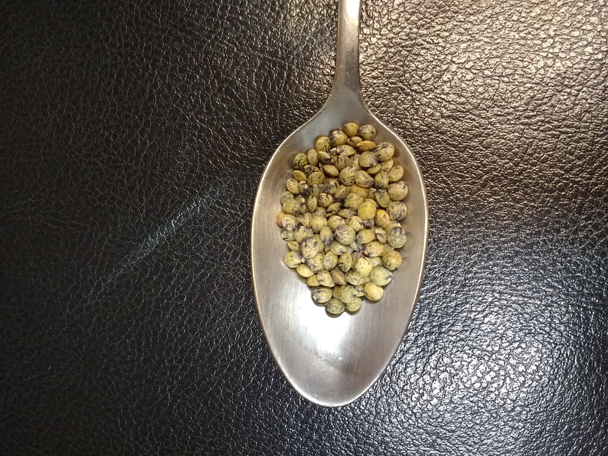 Mulberry Lane Farms French Green Lentils – 5 lb Petite, Organic, Non-GMO, USA Product