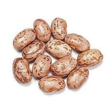 Mulberry Lane Farms Pinto Beans - 5 lbs Organic, Non-GMO, USA