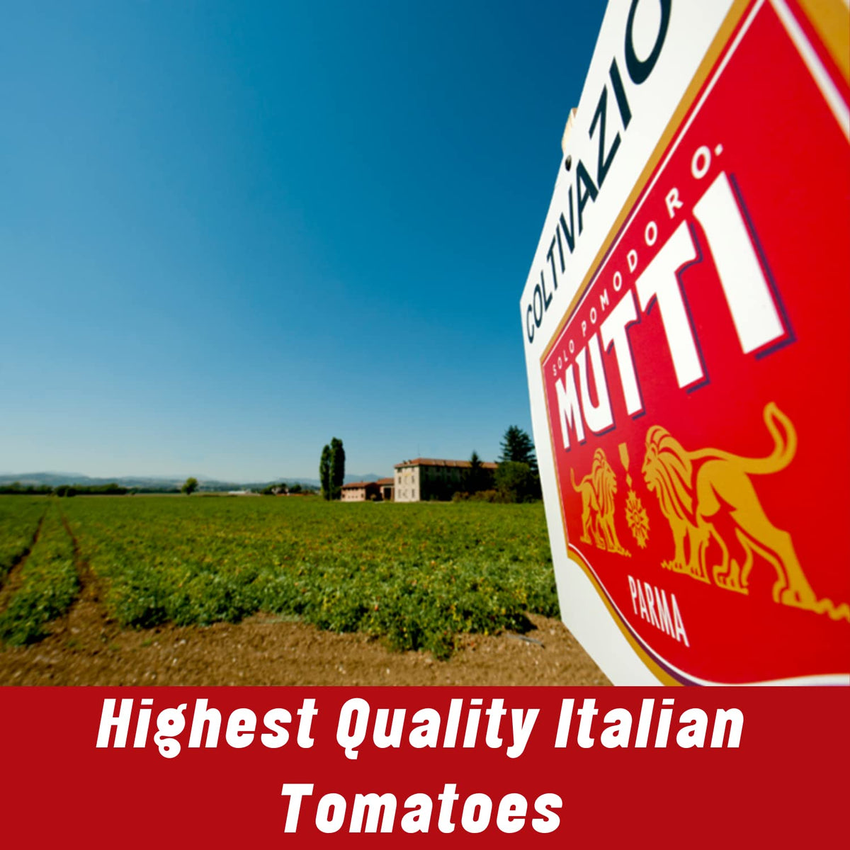 Mutti Tomato Puree (Passata) – 24.5 oz, 4 Pack | 100% Italian Tomatoes | Vegan & Gluten Free