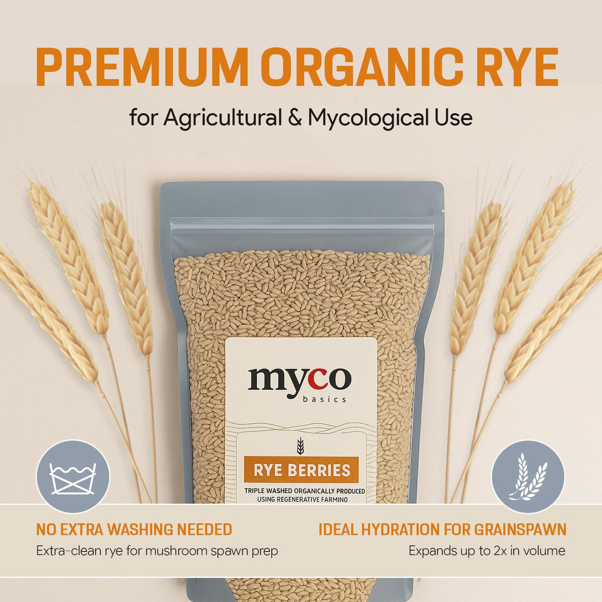 Bulk Rye Berries 10 lb | Organic, Triple-Washed, Non-GMO | Mycology Basics