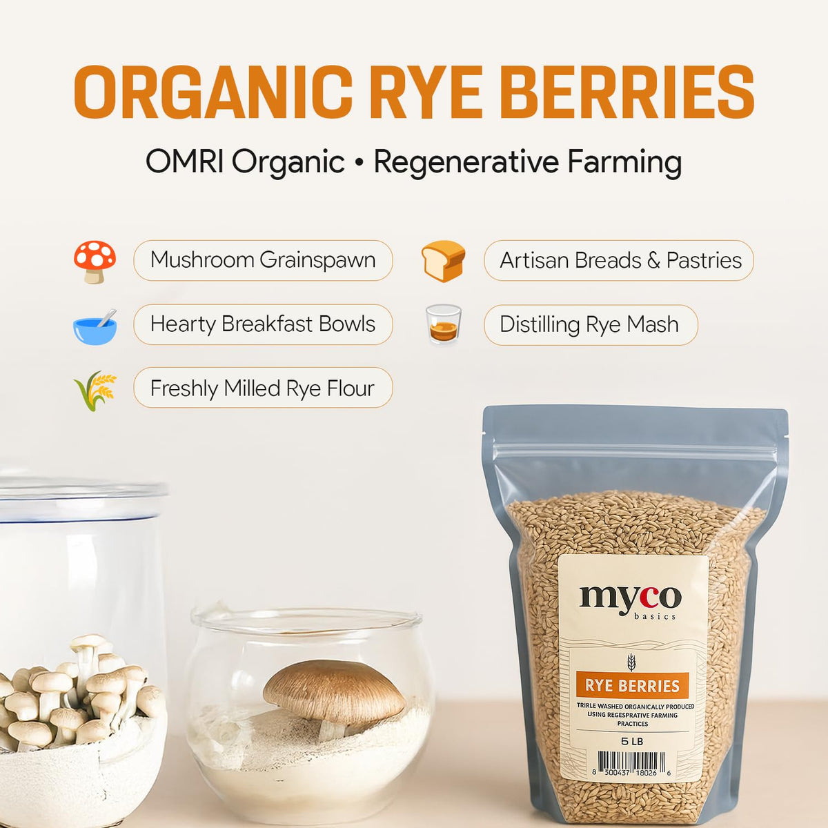 Bulk Rye Berries 10 lb | Organic, Triple-Washed, Non-GMO | Mycology Basics
