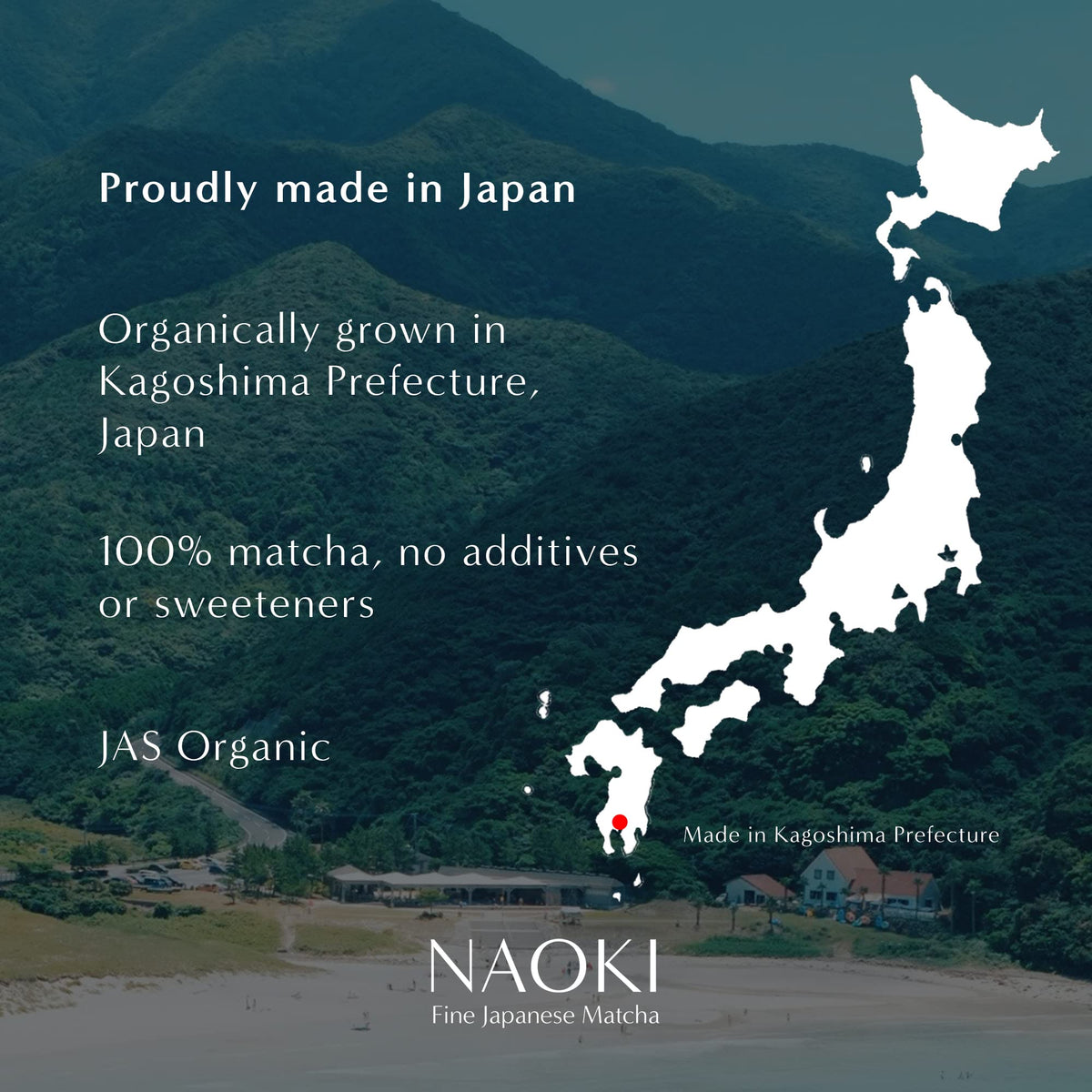 Naoki Matcha Organic All Purpose Blend – Japanese Culinary Grade Matcha Powder 100g