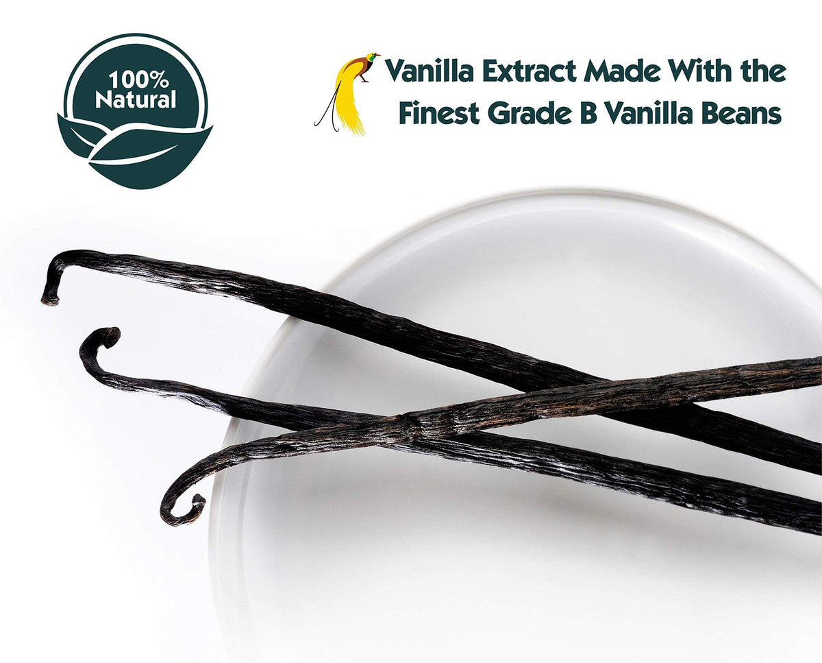 Native Vanilla 16 oz Pure Vanilla Extract – 100% Real, Vegan & Kosher