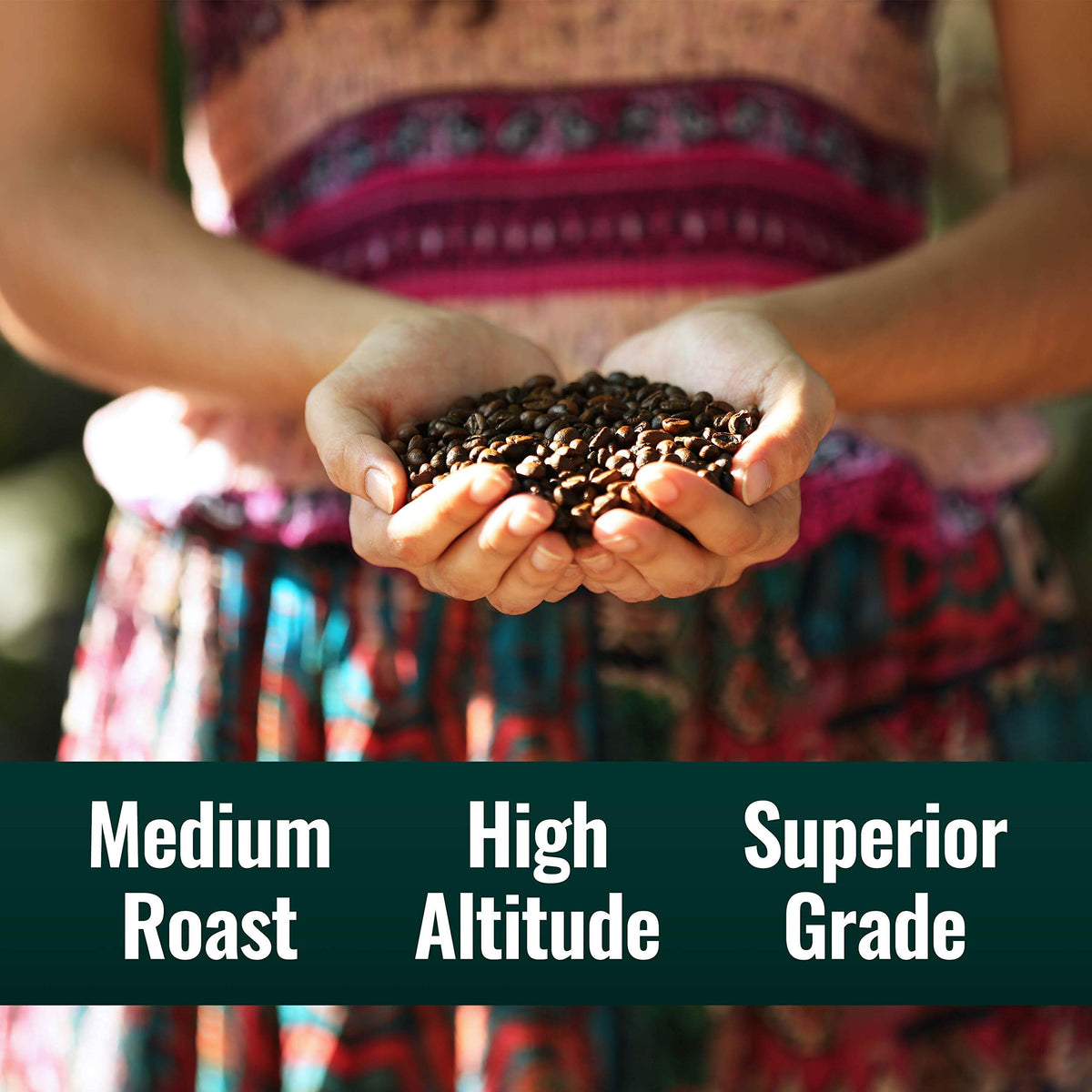 Natural Force Organic Mold Free Coffee – Swiss Water Decaf, Low Acidity