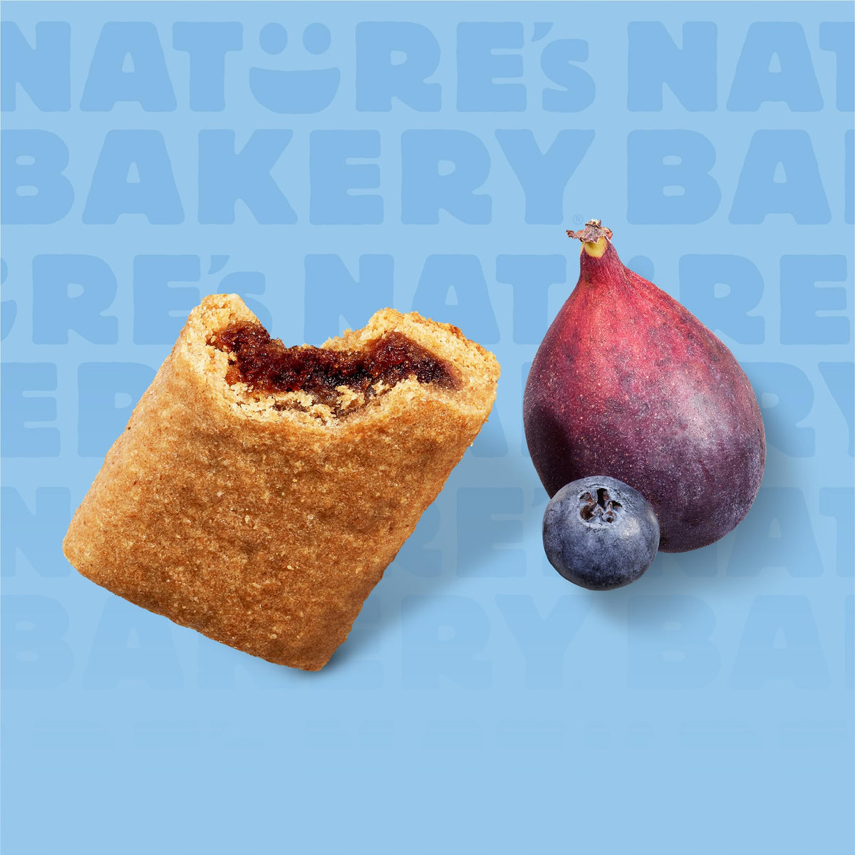 Nature's Bakery Fig Bar Minis - Blueberry, Whole Grain, 6-Pack (10 oz)