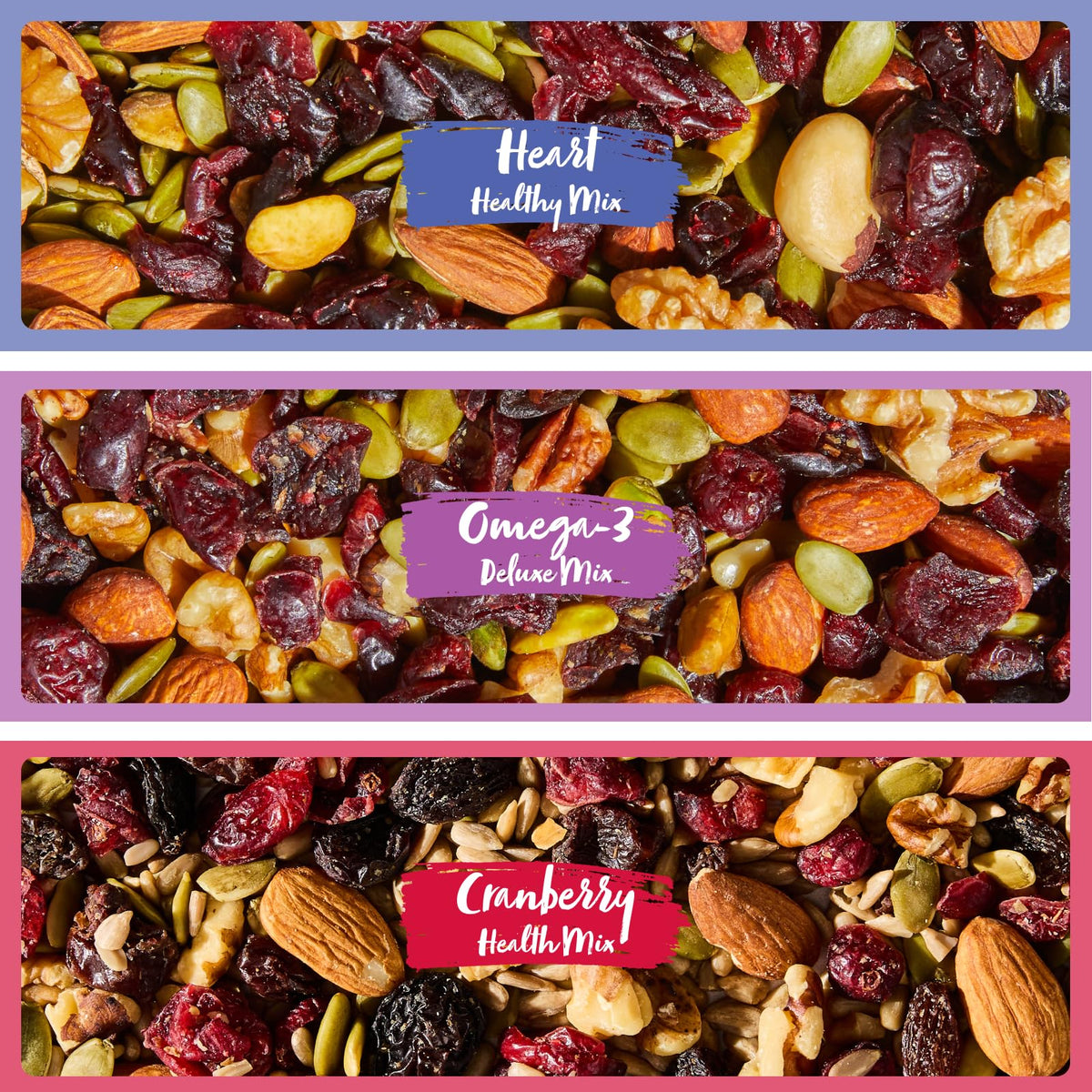 Nature's Garden Healthy Trail Mix Snack Pack — 48 Single-Serve Bags, Vegan & Gluten-Free