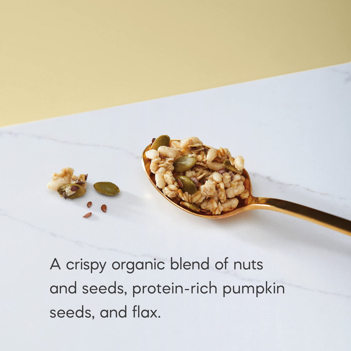 Nature's Path Organic Pumpkin Seed Flax Granola, 25 lb — Non-GMO
