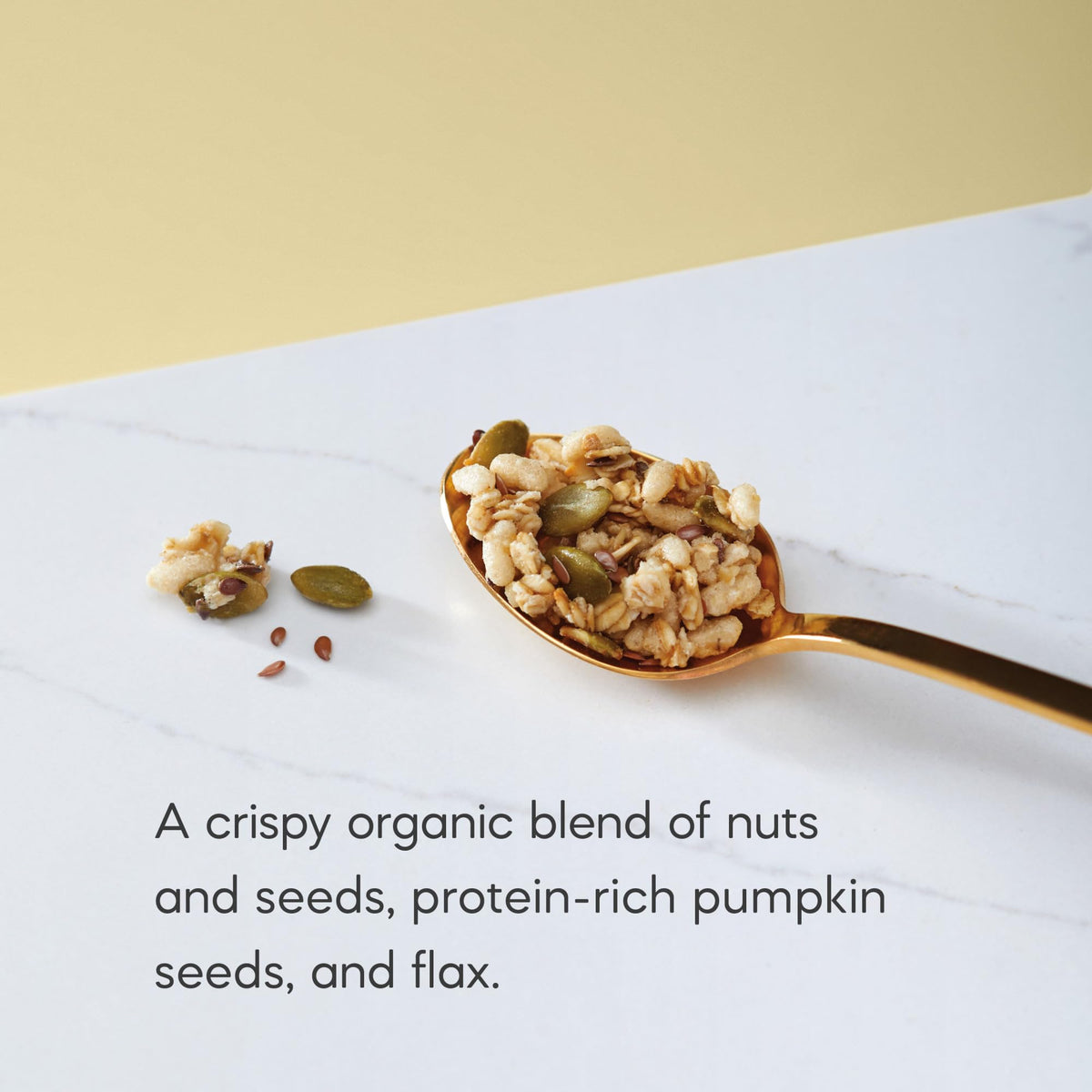 Nature's Path Organic Pumpkin Seed Flax Granola, 25 lb — Non-GMO