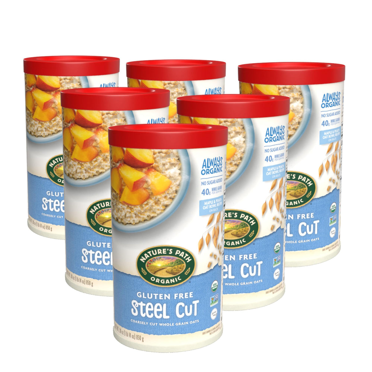 Nature's Path Organic Steel Cut Oats – Gluten Free, Non-GMO, 30 oz Canister (Pack of 6)