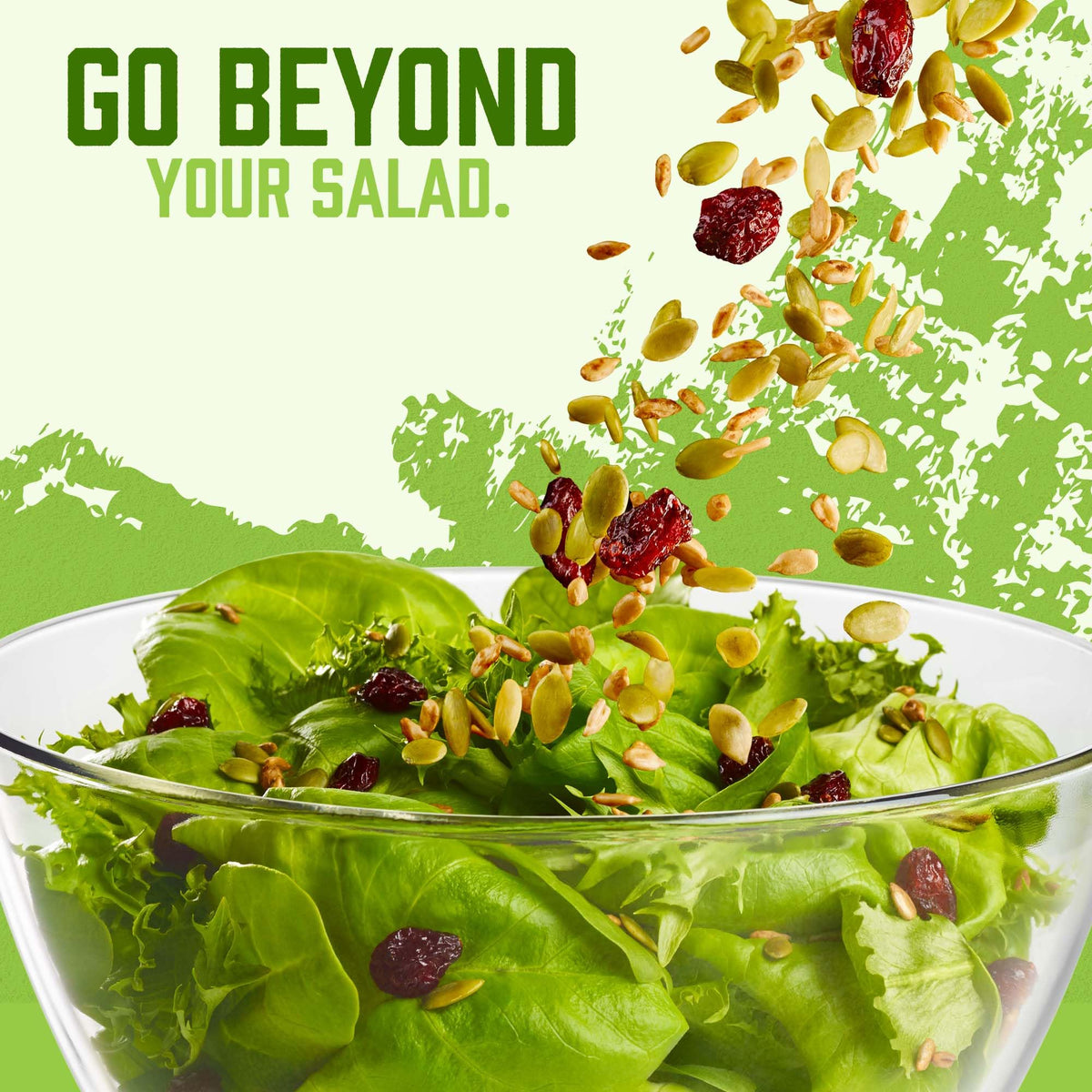 naturSource Organic Salad Topper - 2x32oz, Gluten Free, Cranberries & Seeds