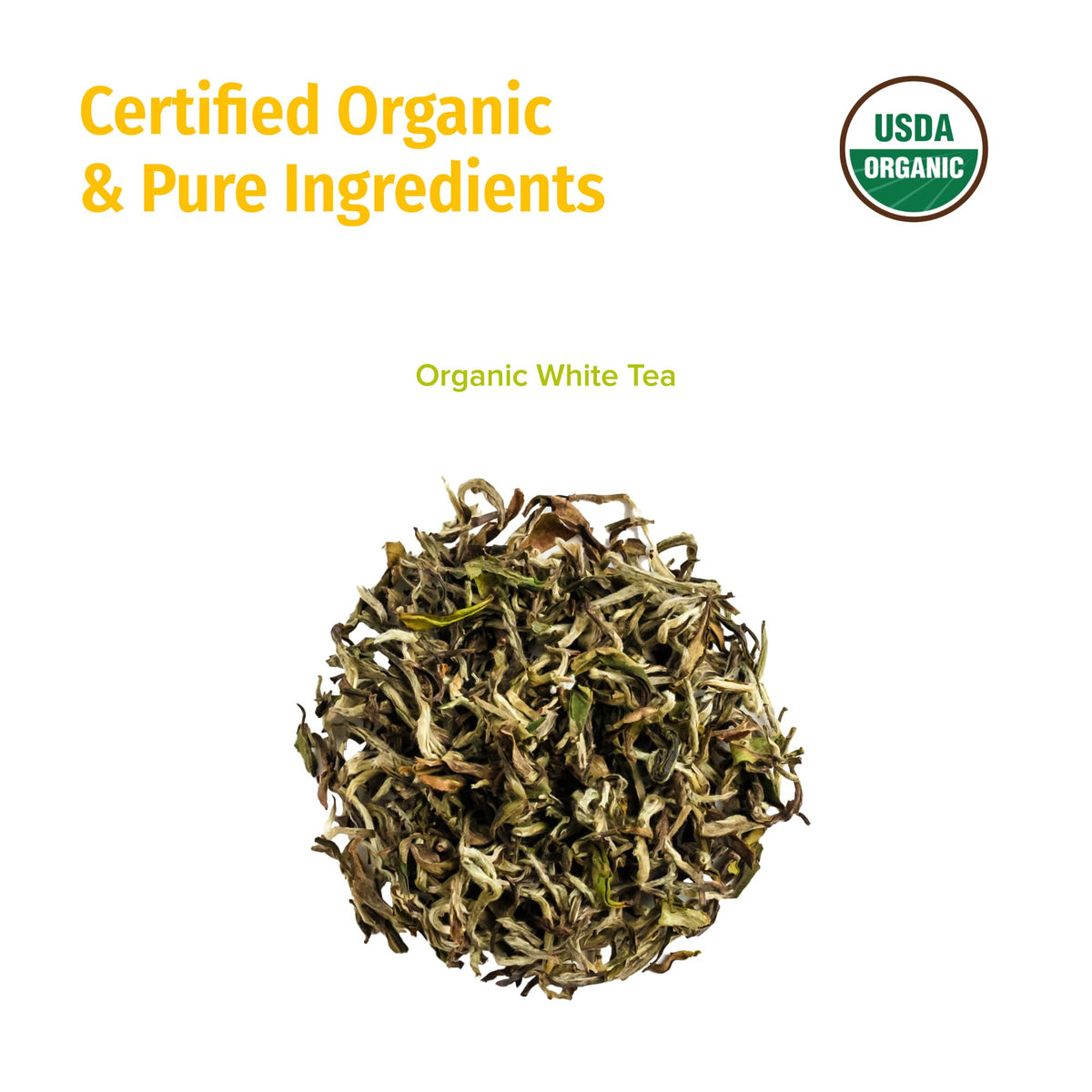 NEPAL TEA Organic White Tea Loose Leaf – USDA Organic, Himalayan High-Altitude Flavor (White Prakash) 3.5oz/100g