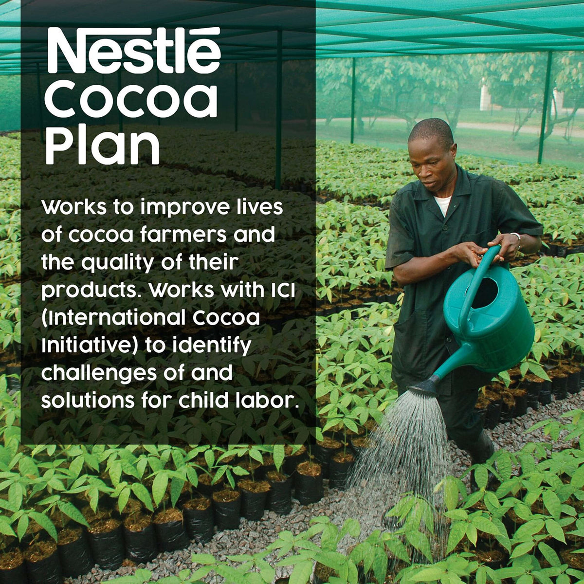 Nestlé Dark Chocolate Hot Cocoa Packets — Real Cocoa, Kosher Dairy, 0.71 oz, 300 Count