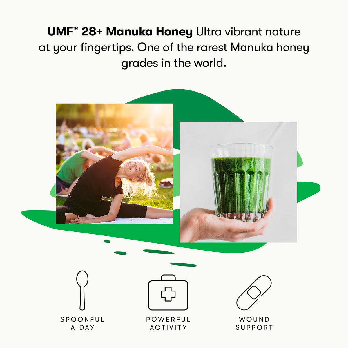New Zealand Honey Co. Raw Manuka Honey UMF 28+ | UMF Certified, MGO 1450+, 8.8oz