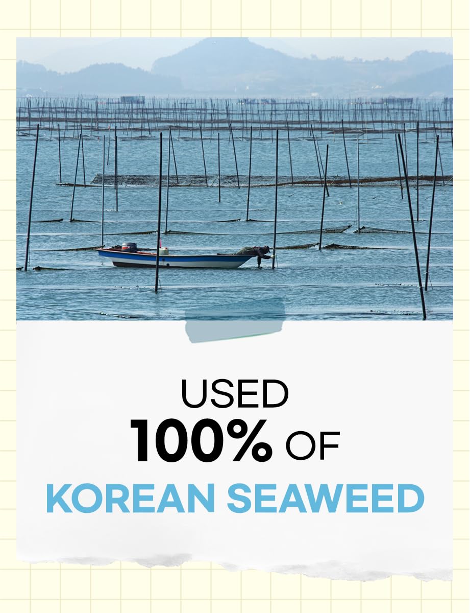Nice Witch's Seaweed Nori – 100 Sheets for Gimbap, Onigiri & Triangle Rice Balls (Korean Nori, 2x50)