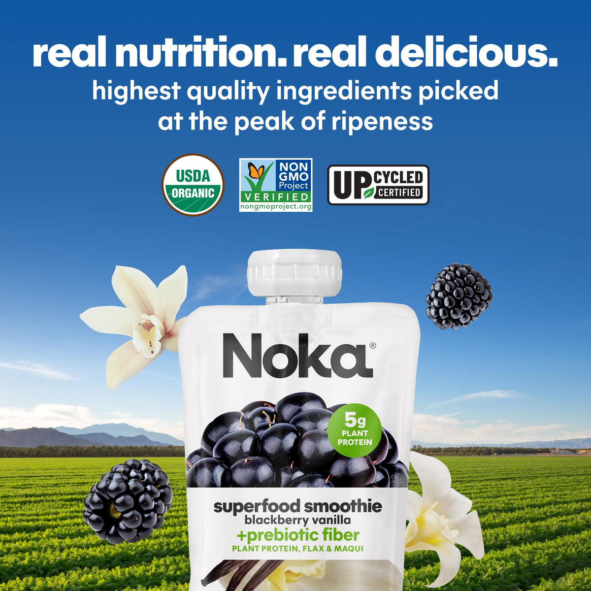 NOKA Blackberry Vanilla Superfood Smoothie Pouches – 12 Pack