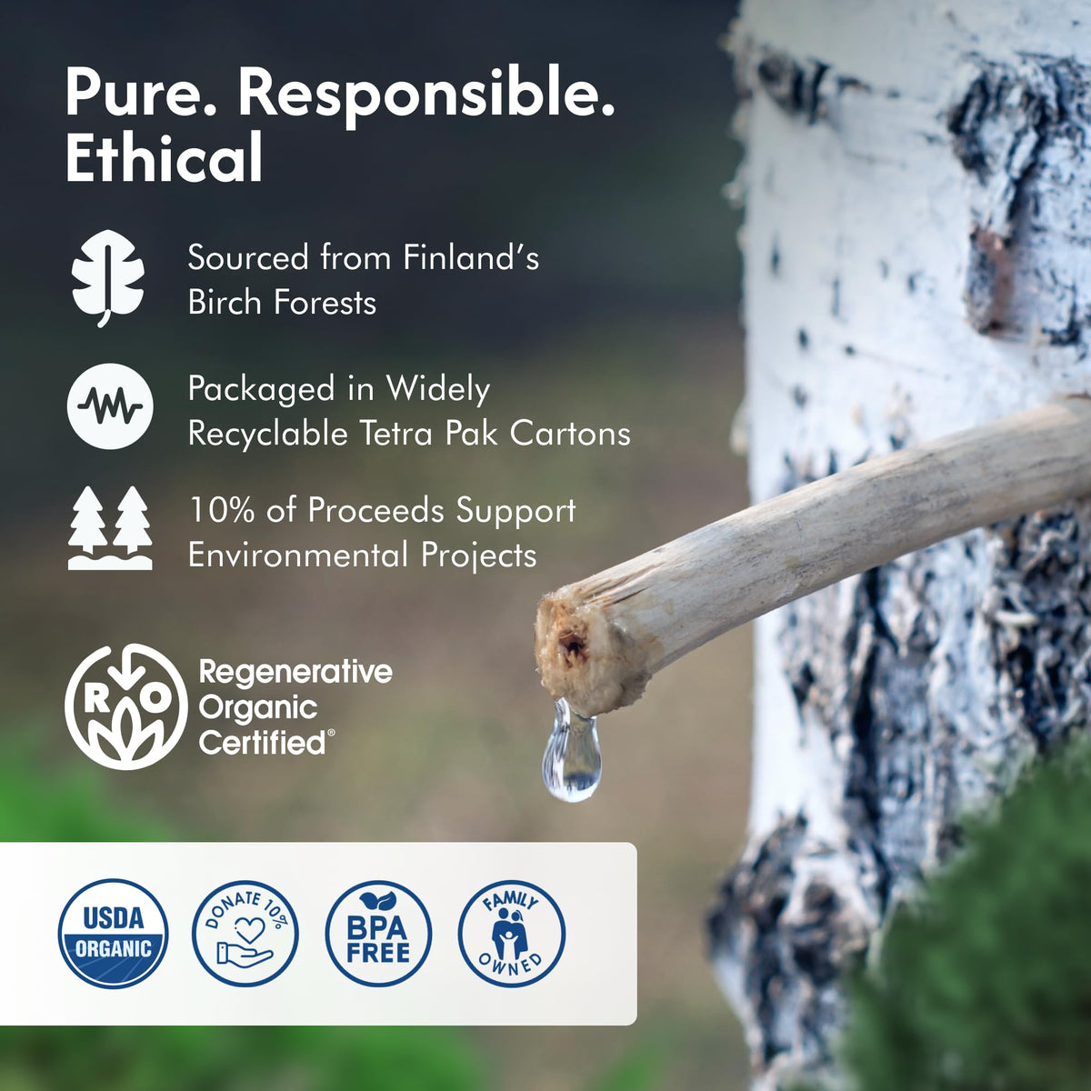 Nordic Tree Water Birch Sap – Regenerative Organic Certified, Electrolytes & Prebiotics (12-Pack)
