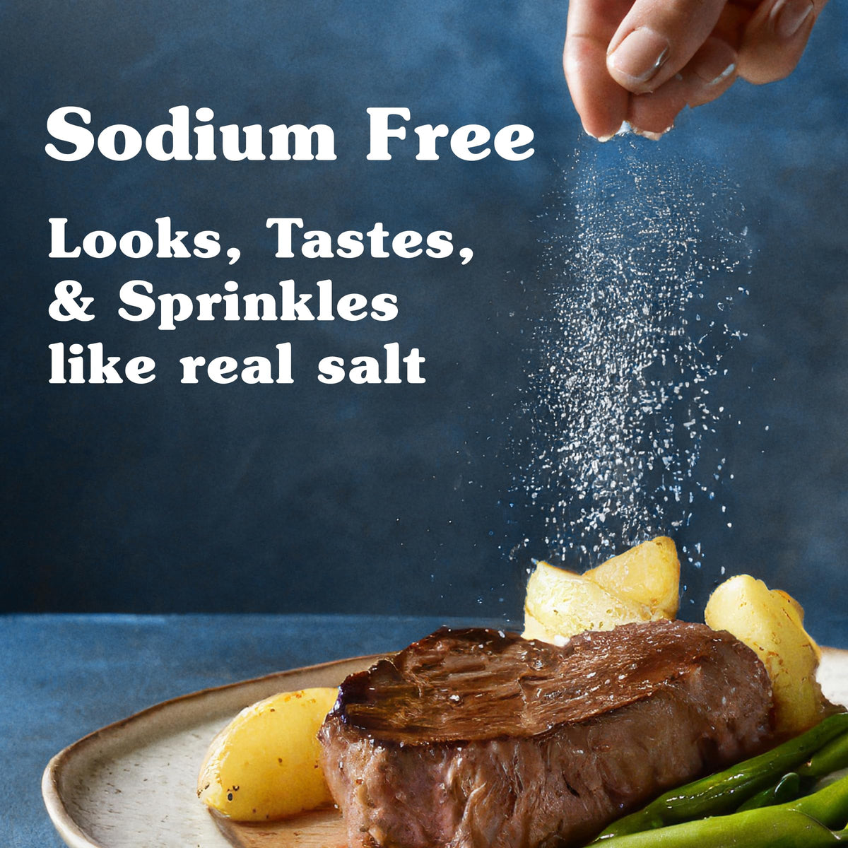 Nu-Salt Sodium-Free Salt Substitute with Potassium Chloride | Vegan, Kosher Parve, 3oz Shaker (Pack of 12) for Fries, Popcorn, Chips & Pretzels