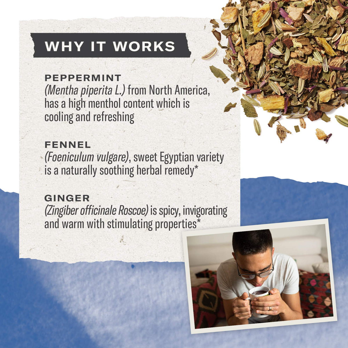 Numi Organic Congest Away Herbal Tea – Caffeine Free Cooling Blend with Fennel, Peppermint, Ginger and Licorice