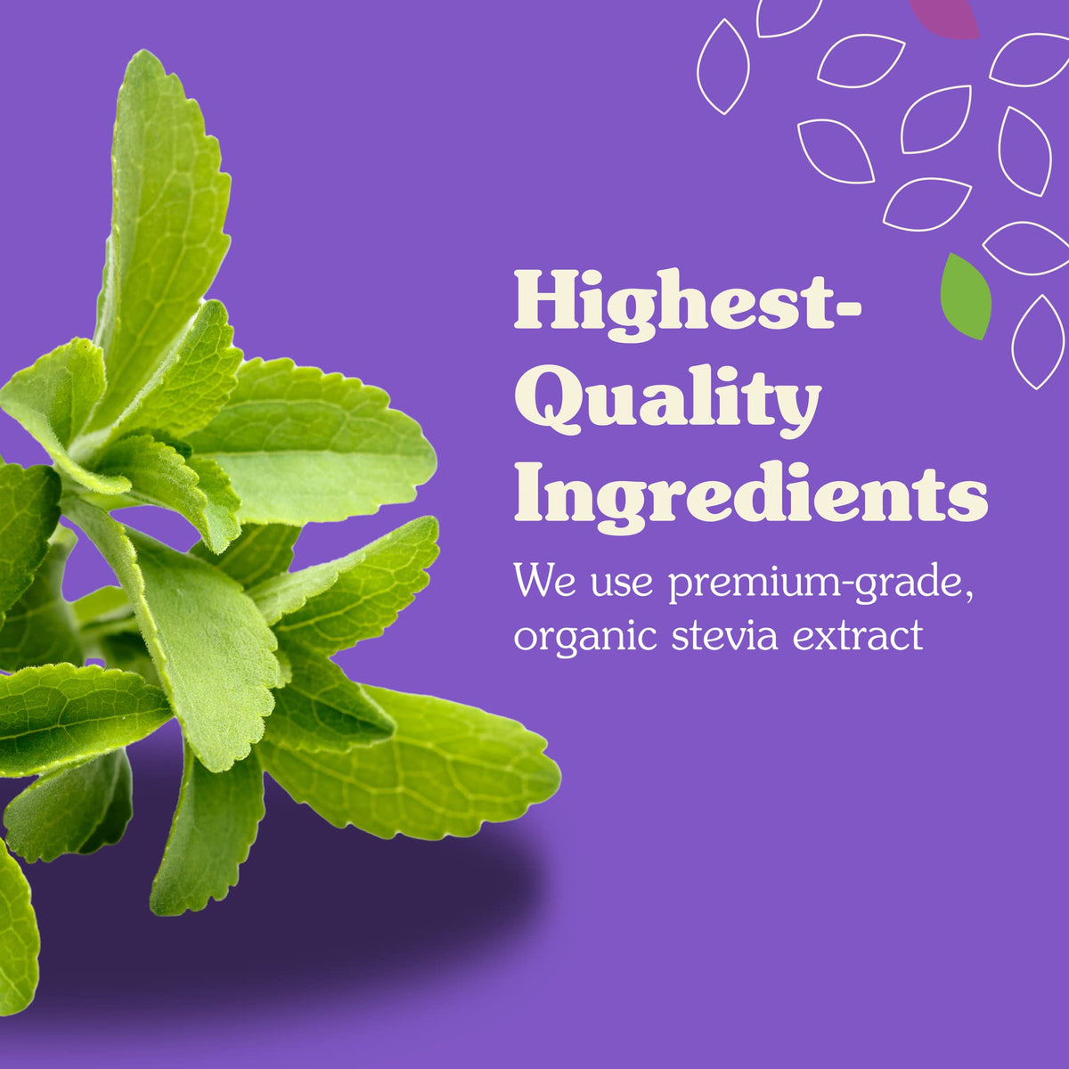 NuNaturals Liquid Stevia – Zero-Calorie Plant-Based Sugar Substitute (Unflavored)
