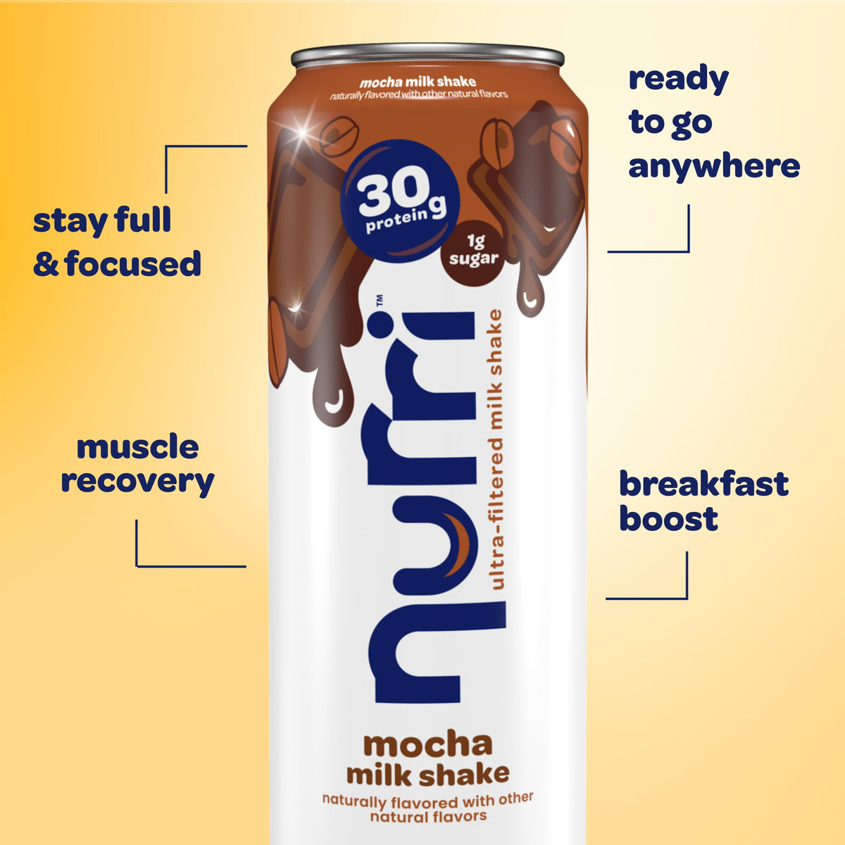 Nurri Mocha Protein Shake – Ultra-Filtered Lactose-Free Milk, 80mg Caffeine, 30g Protein, 150 Calories, 11 oz Can, 10-Pack