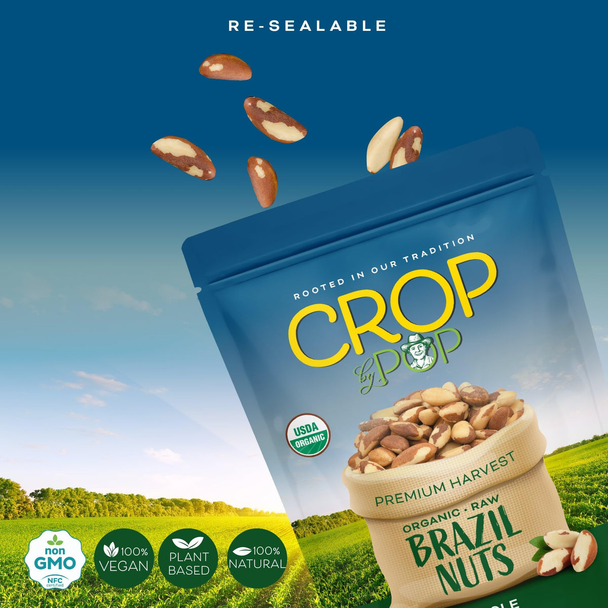 Crop by Pop Organic Raw Brazil Nuts (16 oz) – USDA Organic, Non-GMO, Resealable Bag | Nut Cravings