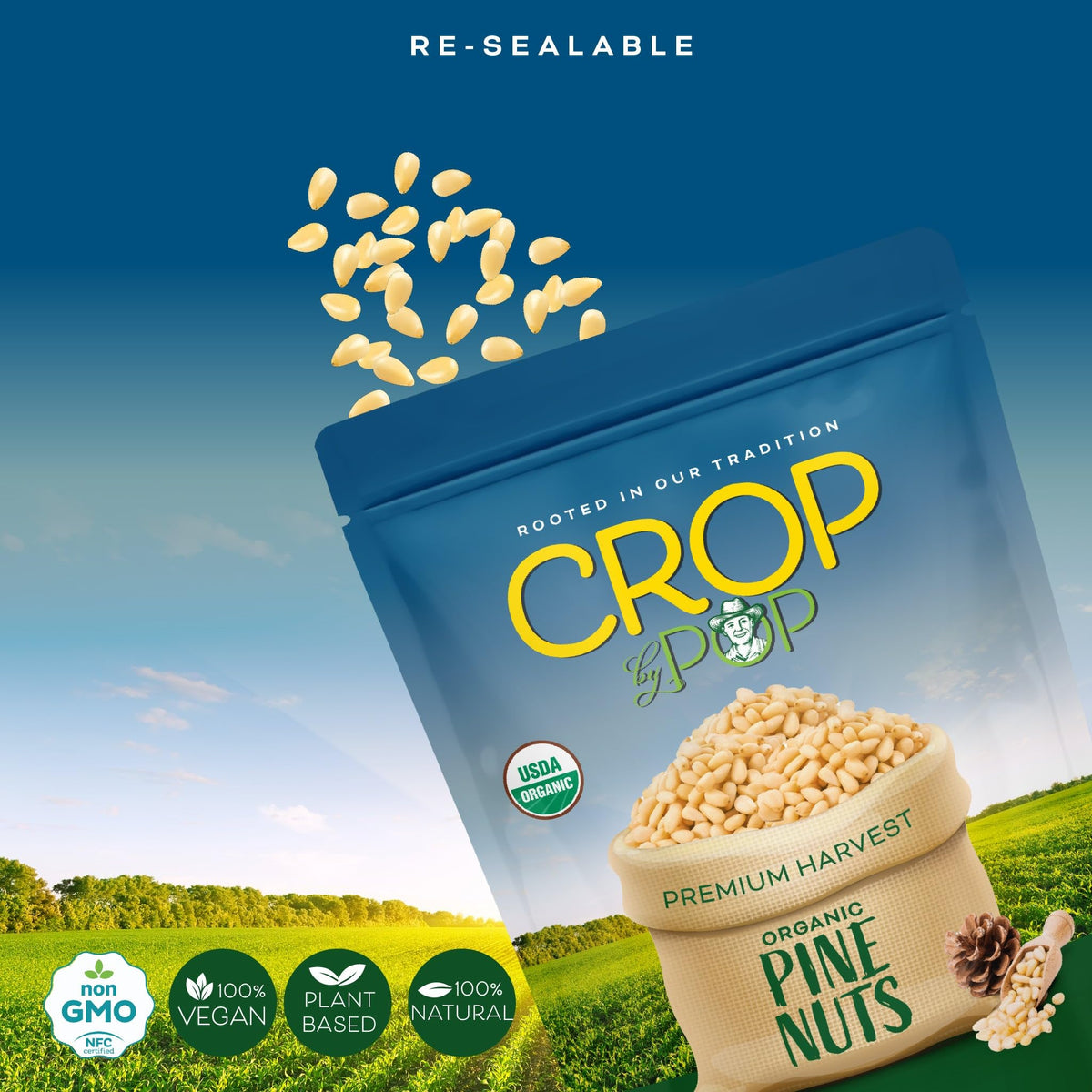 Nut Cravings CROP BY POP Organic Raw Pine Nuts, 16oz – Unsalted & Shelled