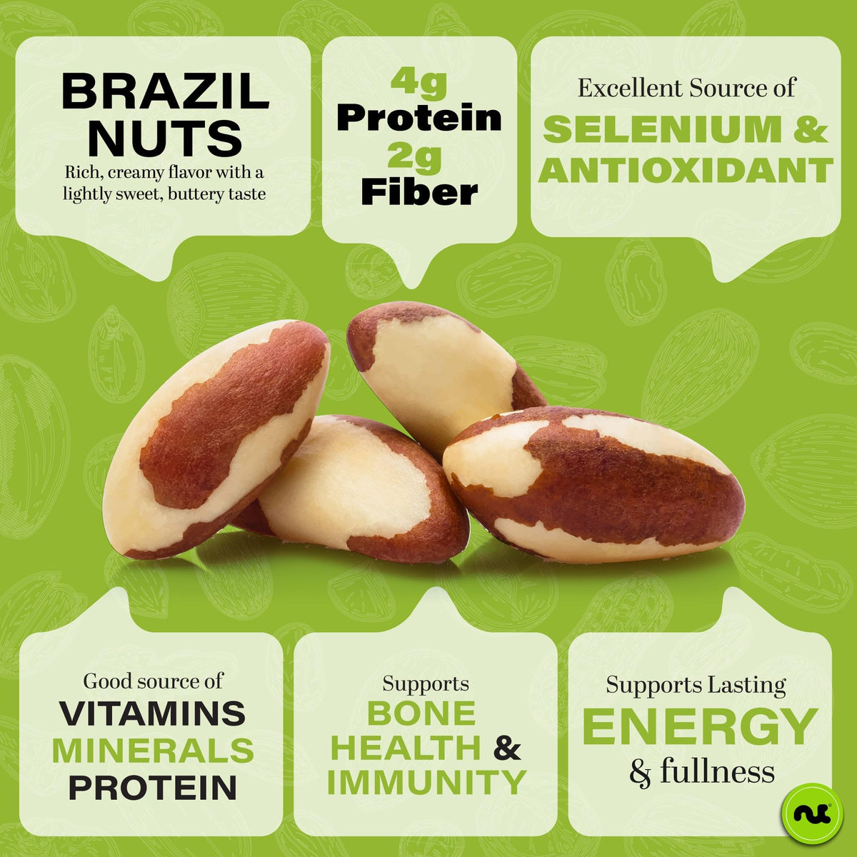 Nut Cravings Raw Brazil Nuts - Unsalted, No Shell, 24oz (1.5 lb) Resealable Bag | Kosher