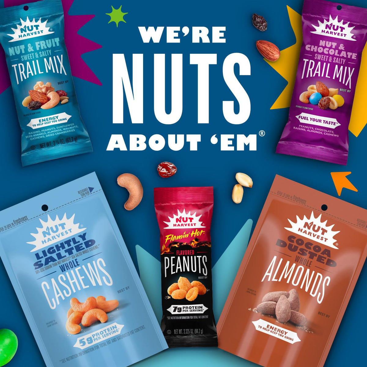 Nut Harvest Lightly Salted Cashews – 24 oz Jar | Premium Snack