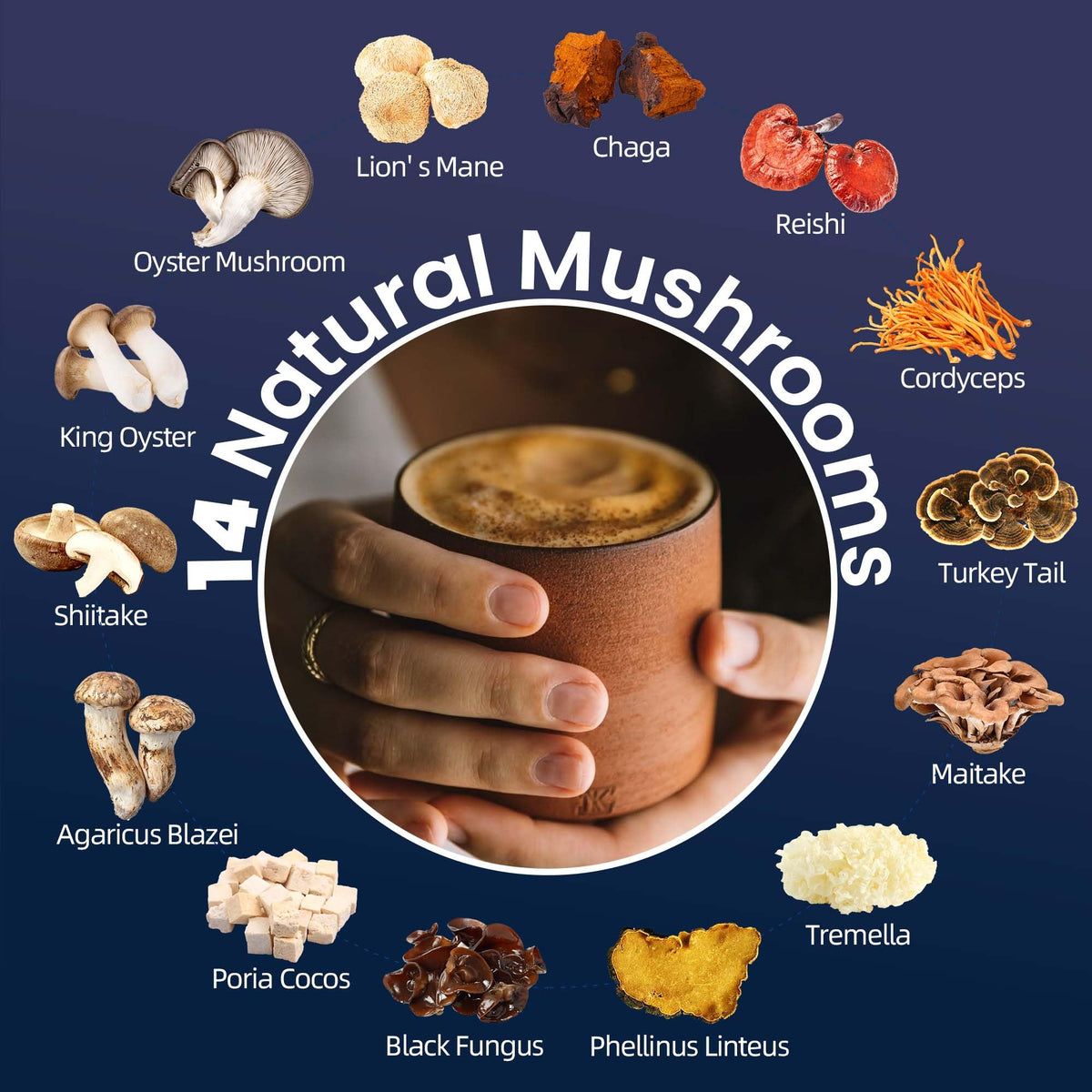 60 Servings Mushroom Hot Cocoa for Sleep, Calm & Immunity | 14 Mushroom Extracts, Magnesium Glycinate, 5mg Melatonin | Non-GMO, Keto-Friendly | NutraTaste