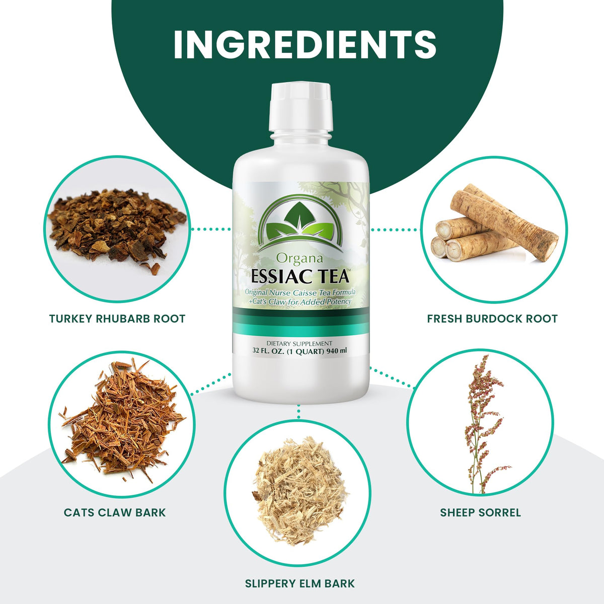 NutriNoche Organa Essiac Tea - Organic Liquid 4-Herb Essiac Blend (32 oz) | Ojibwa Herbal Detox