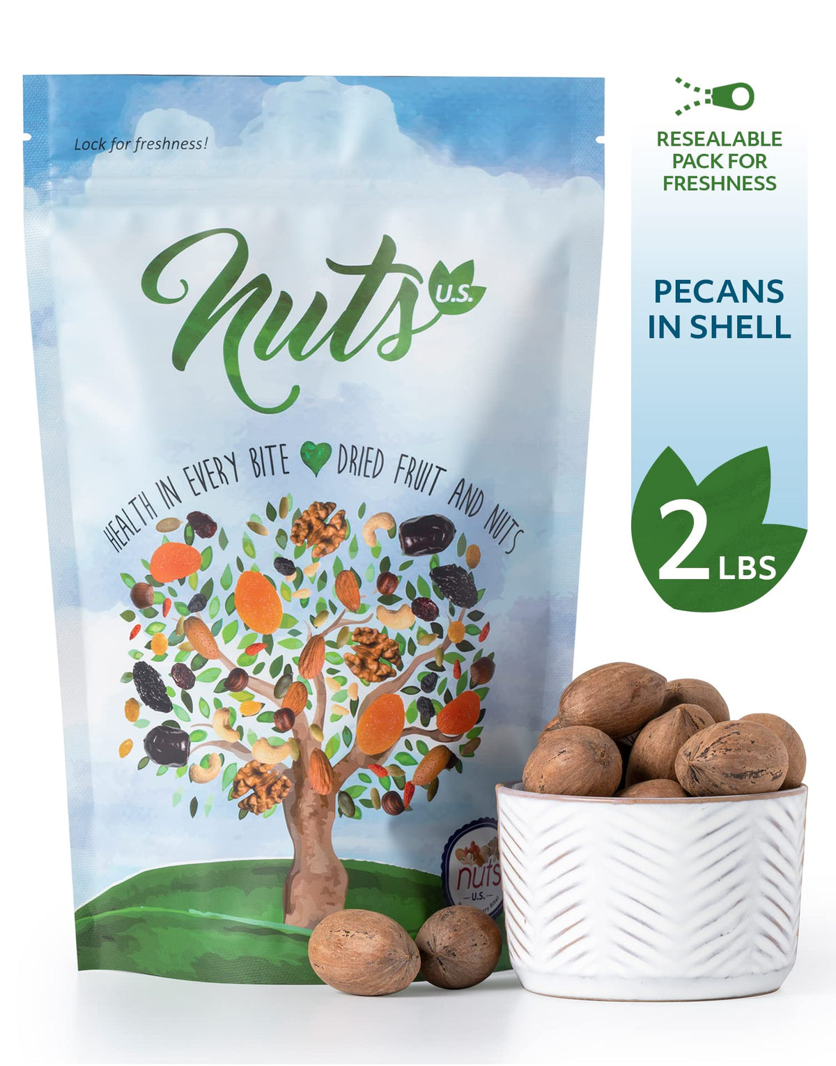 NUTS U.S. Pecans In Shell – Whole Raw Unsalted, 2 LBS | Easy to Crack