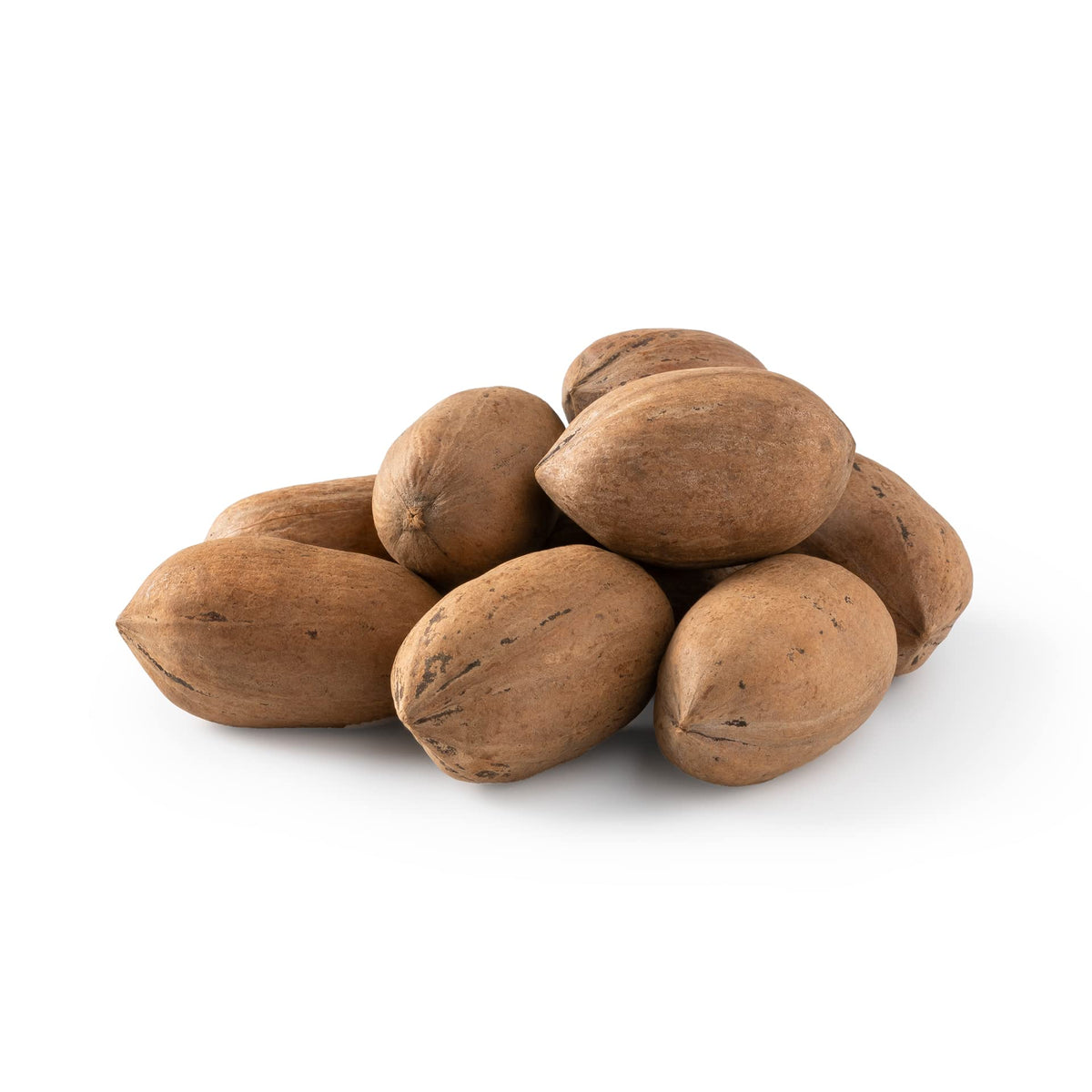 NUTS U.S. Pecans In Shell – Whole Raw Unsalted, 2 LBS | Easy to Crack